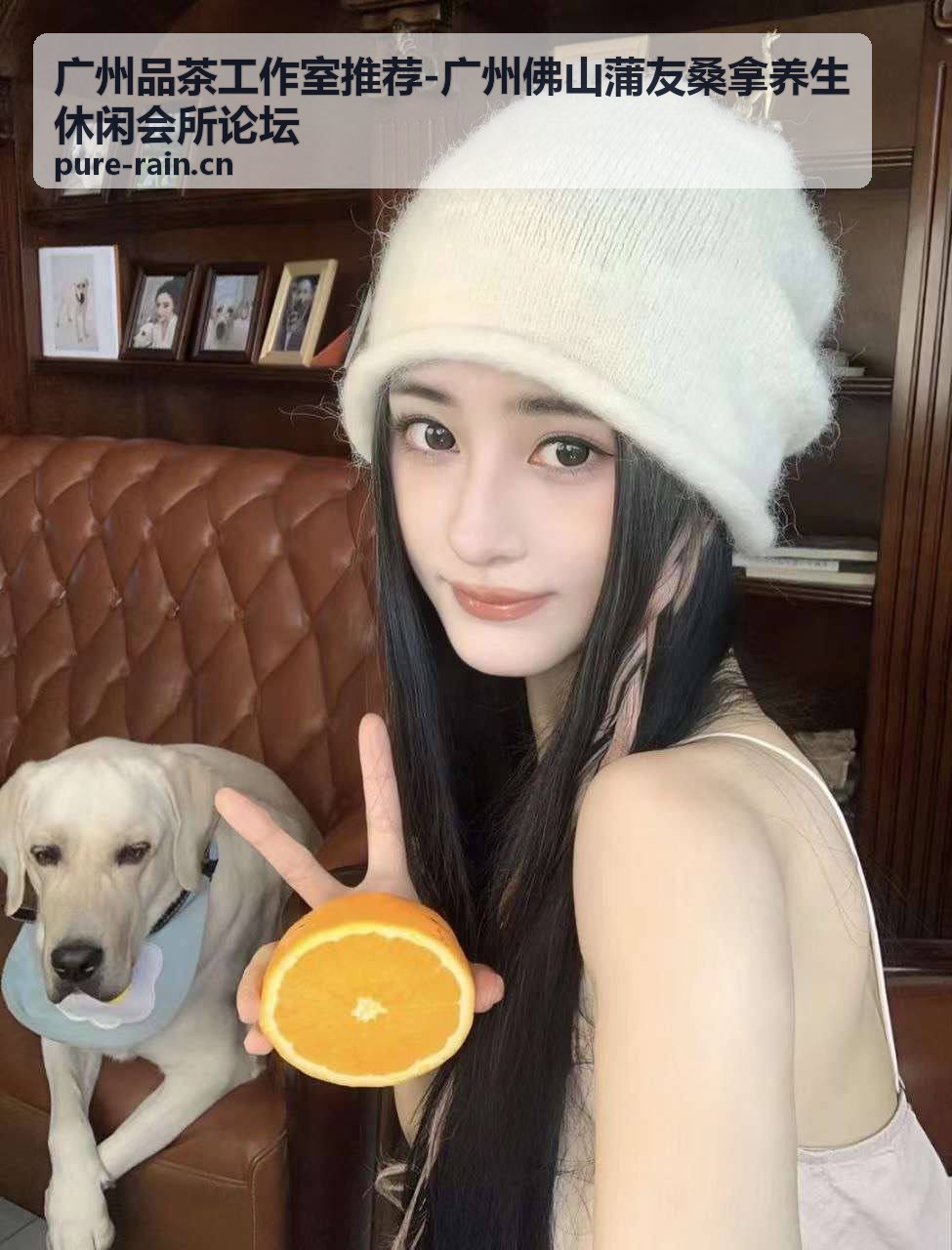 数据洞察分析